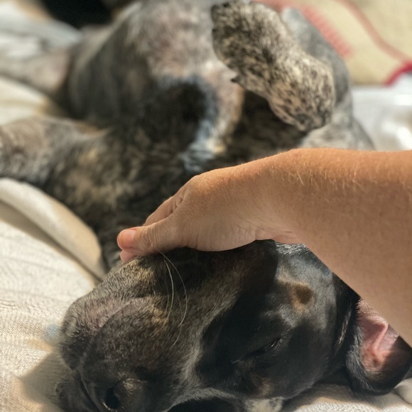 Meet your Posher, Shannon - Picture 11 of 15